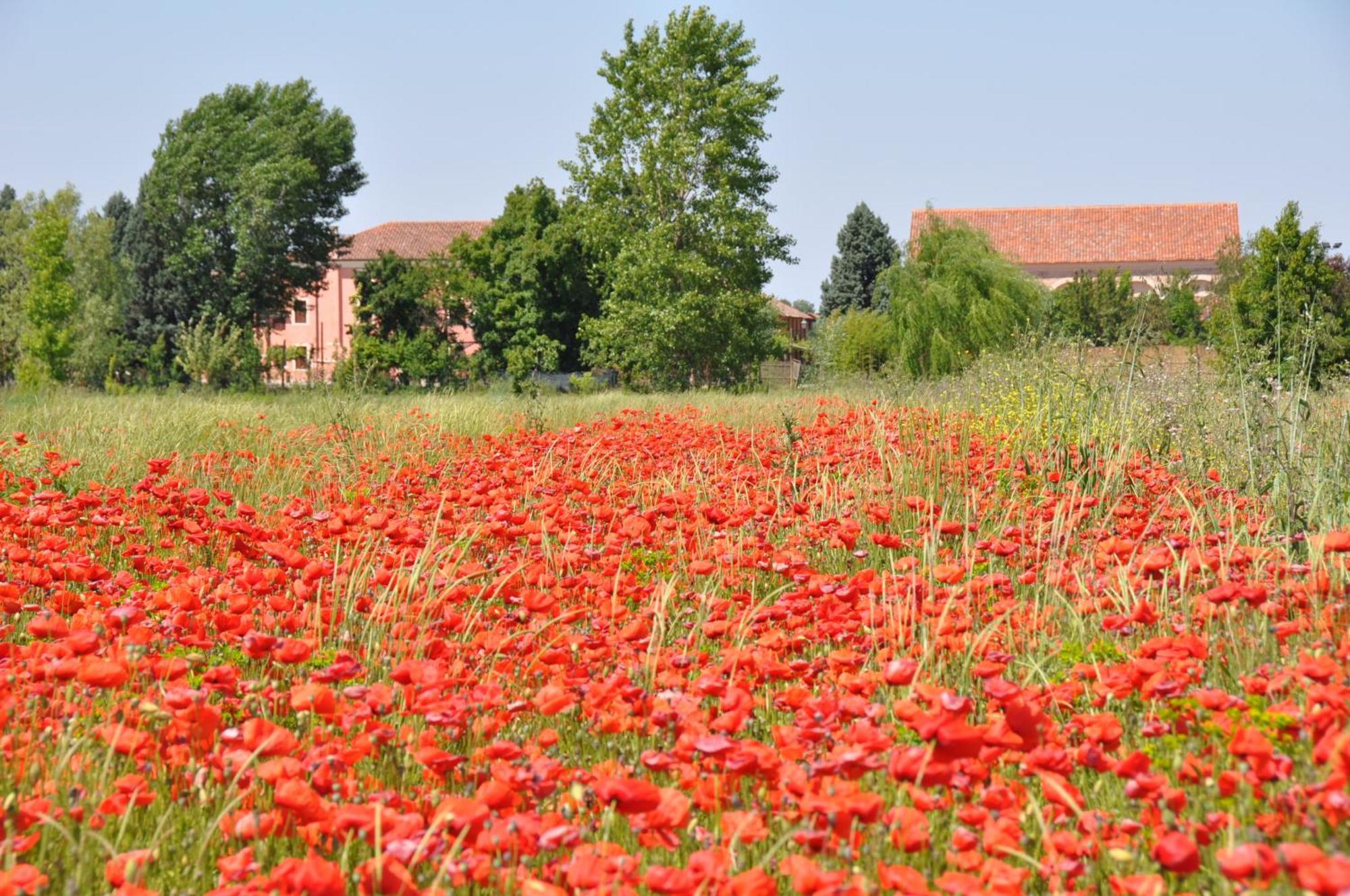 Bordeghina B&B In Farmhouse Pontecchio Polesine Kültér fotó